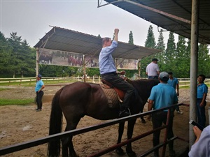 自由活動(dòng)
